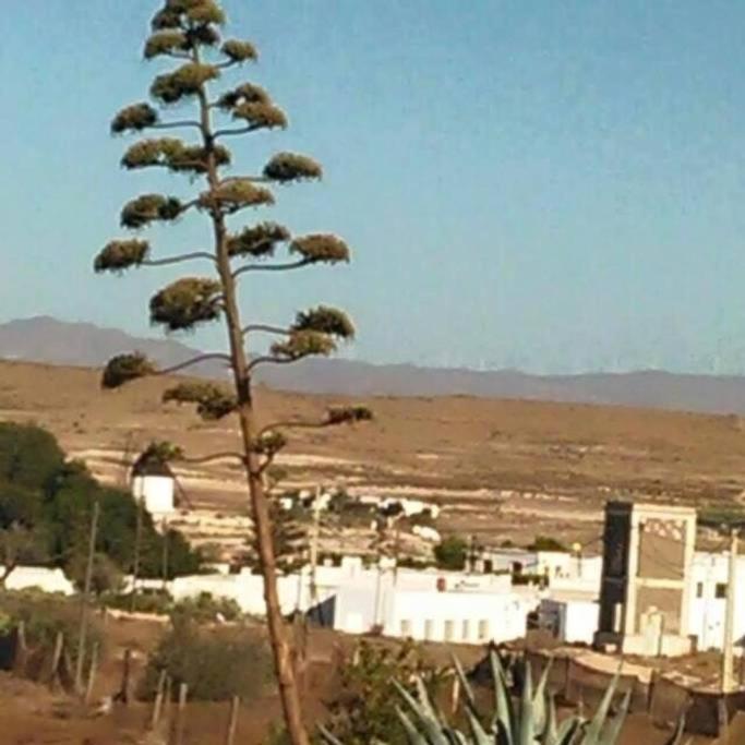 Casa Rural El Jazminero Fernan Perez 외부 사진